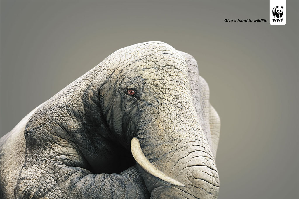 WWF Give A Hand To Wildlife Elephant Print PSA