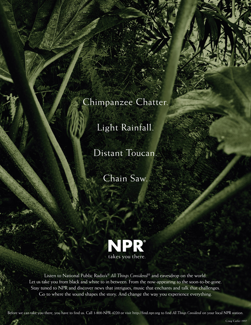 NPR Branding - Rainforest Ad